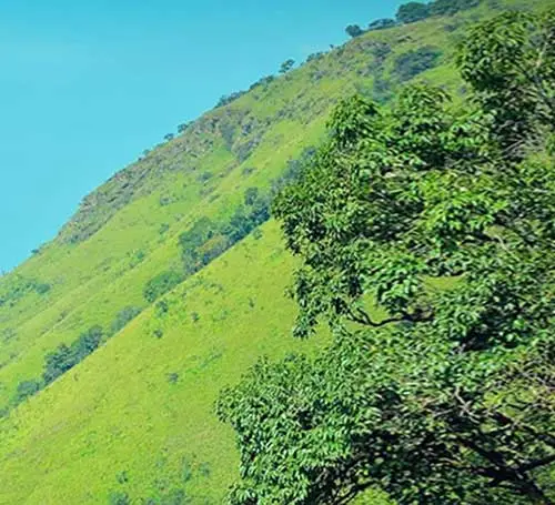 Stunning scenic landscapes of Kavikal Gandi View Point in Chikmagalur